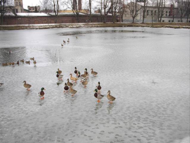 Foto_016.jpg