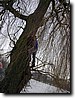 Foto_013.jpg