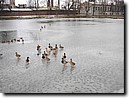 Foto_016.jpg