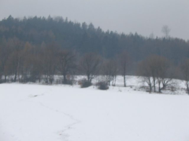 Foto_003.jpg