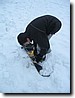 Foto_005.jpg