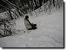 Foto_023.jpg