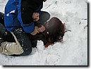 Foto_029.jpg