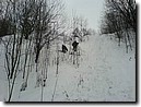 Foto_021.jpg