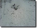 Foto_024.jpg