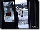 Foto_019.jpg