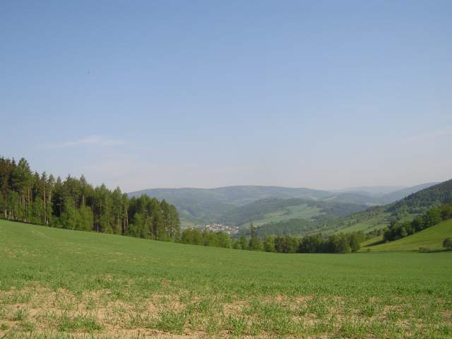 Foto_012.jpg