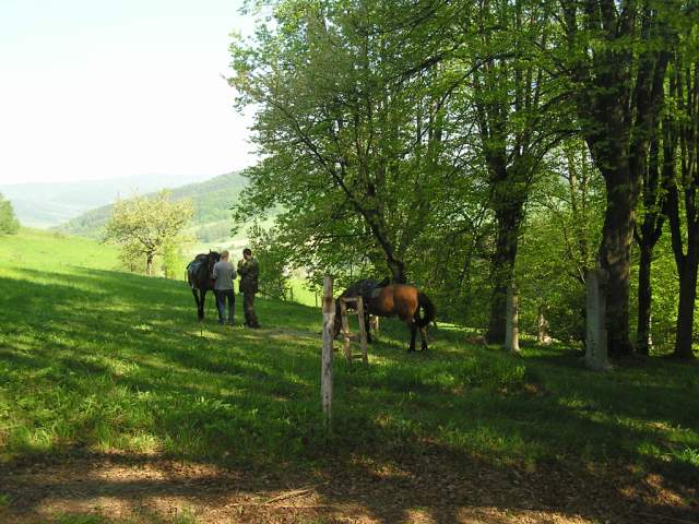 Foto_022.jpg