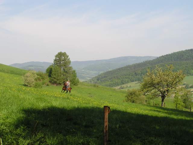 Foto_028.jpg