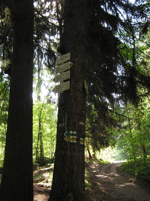 Foto_033.jpg