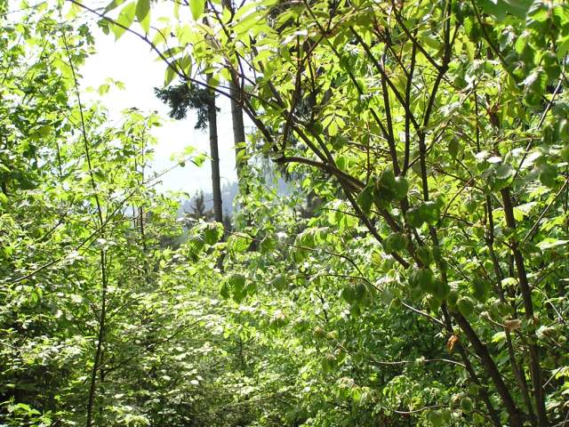Foto_058.jpg