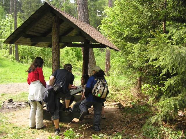 Foto_062.jpg