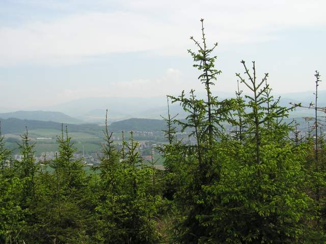 Foto_065.jpg