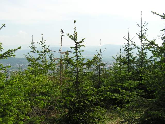 Foto_066.jpg