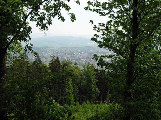 Foto_068.jpg