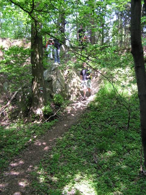 Foto_082.jpg