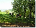 Foto_022.jpg