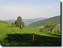 Foto_028.jpg