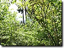 Foto_058.jpg