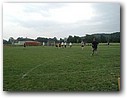 Foto_150.jpg