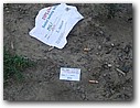 Foto_162.jpg