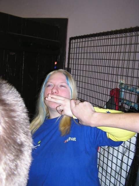 Foto_027.jpg