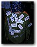 Foto_419.jpg