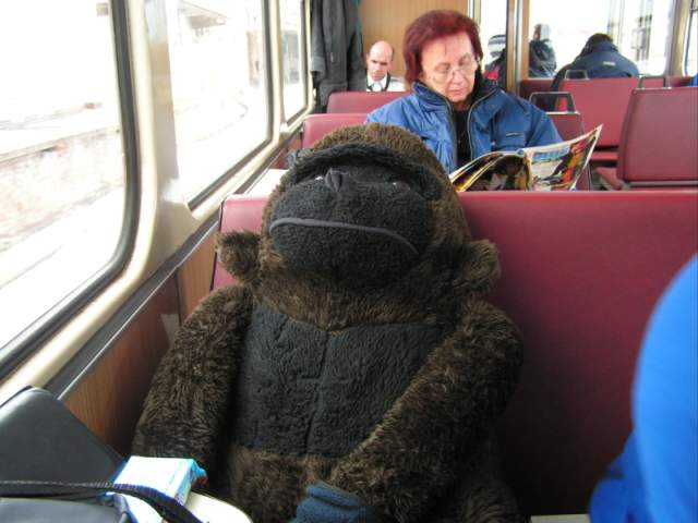 Foto_002.jpg