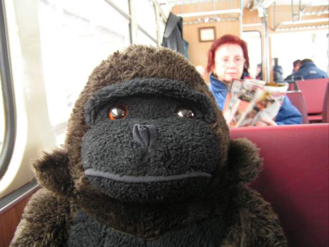 Foto_003.jpg
