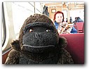 Foto_003.jpg