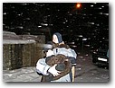 Foto_560.jpg