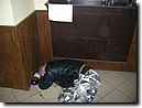 Foto_032.jpg