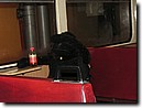 Foto_170.jpg