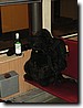 Foto_171.jpg