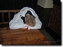 Foto_117.jpg